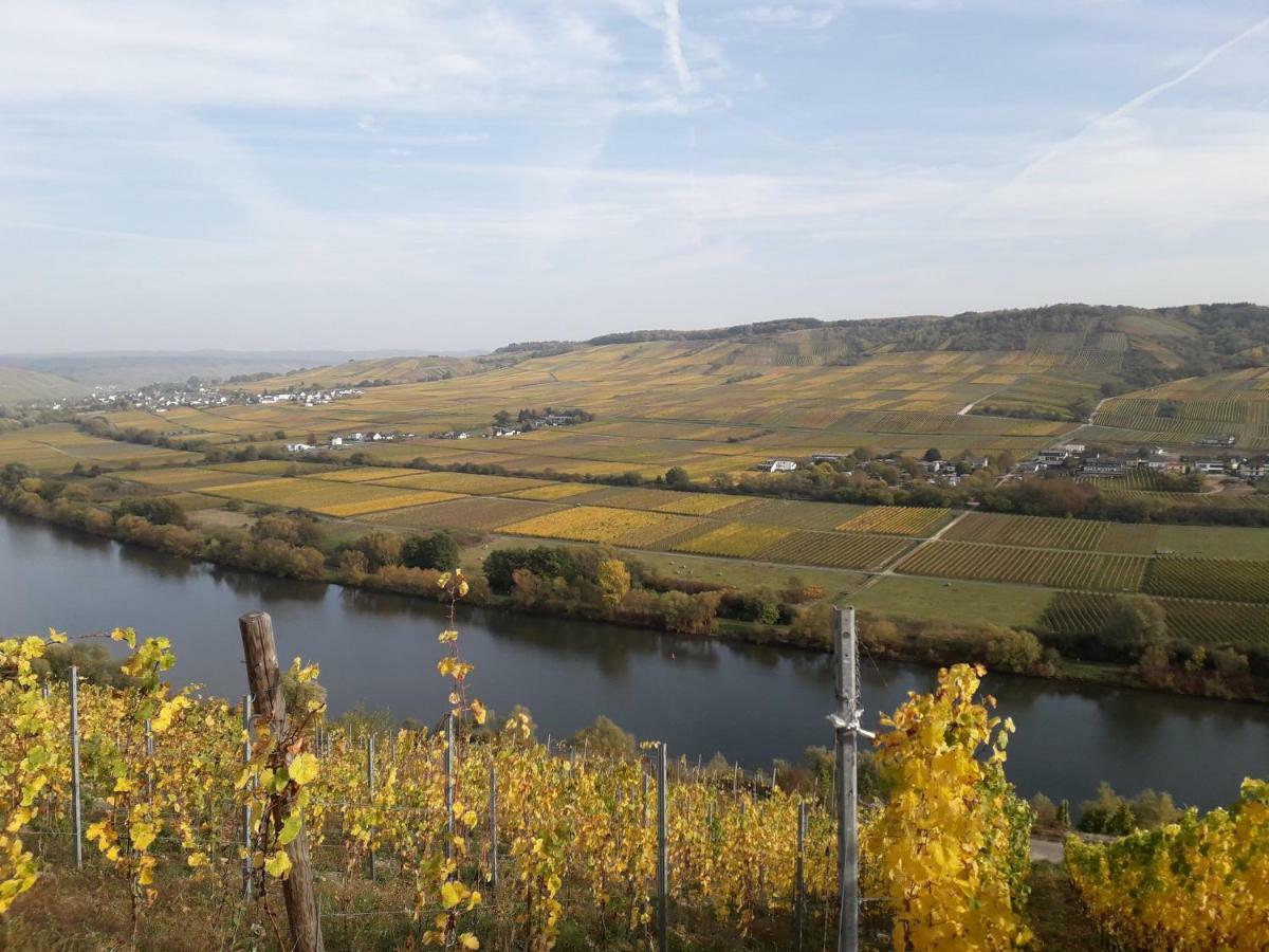 Weingut Johanneshof Minheim Exterior foto