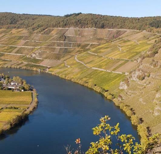 Weingut Johanneshof Minheim Exterior foto