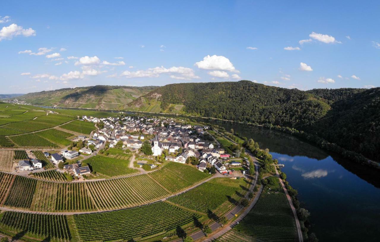 Weingut Johanneshof Minheim Exterior foto