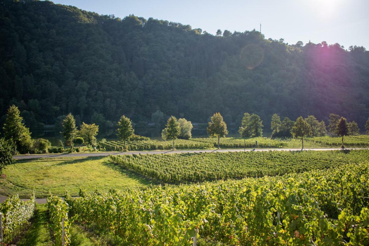 Weingut Johanneshof Minheim Exterior foto